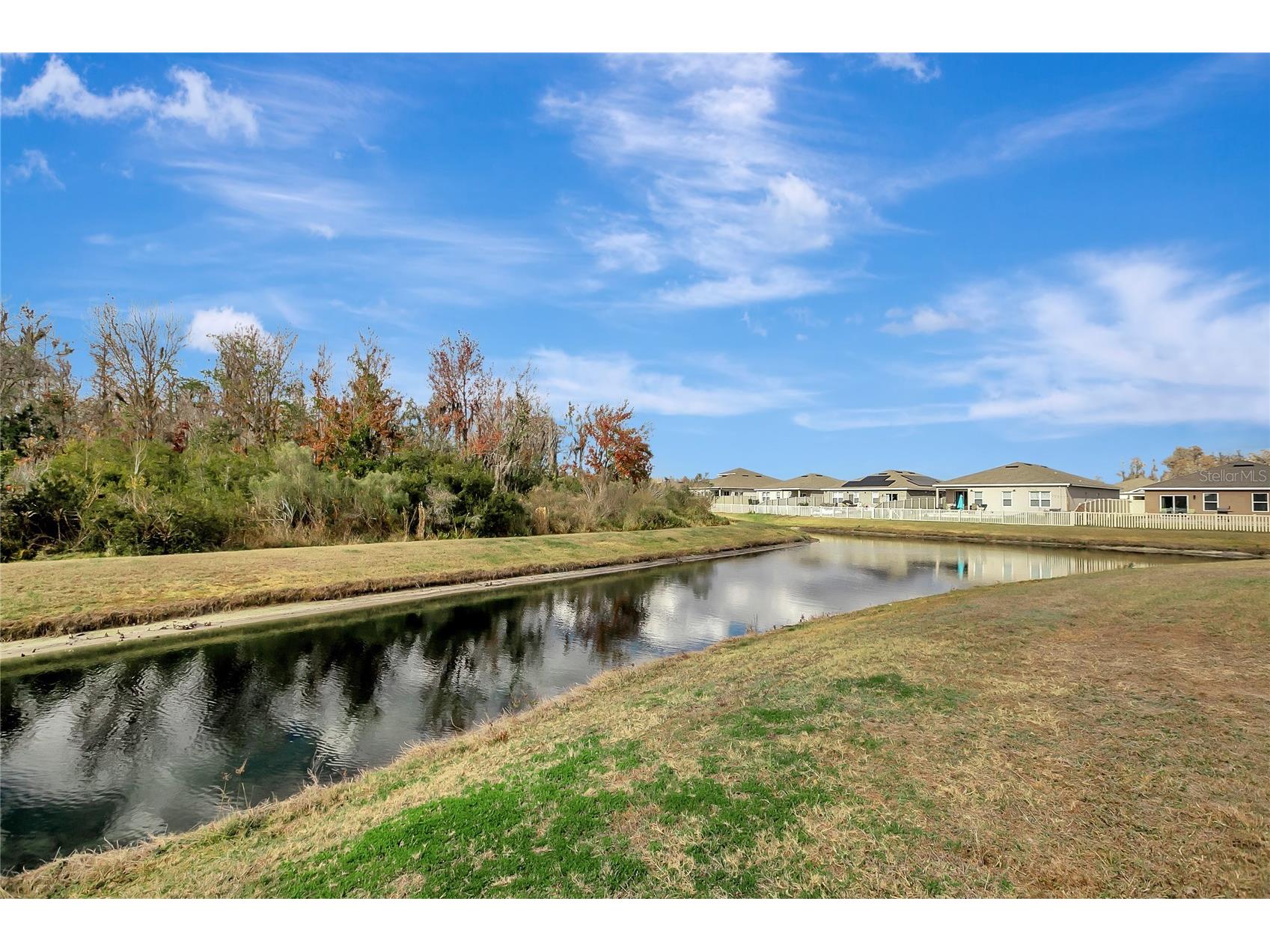 10209 Agave Court Land O Lakes FL 34638 TB8469366 image39