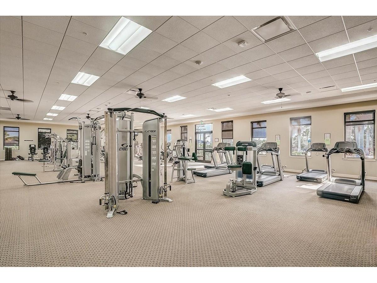 10209 Fiddlewood Drive Venice FL 34293 A4684516 image47