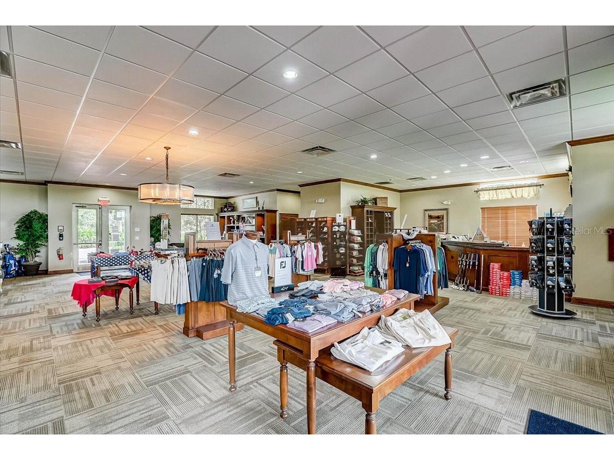 10209 Fiddlewood Drive Venice FL 34293 A4684516 image54