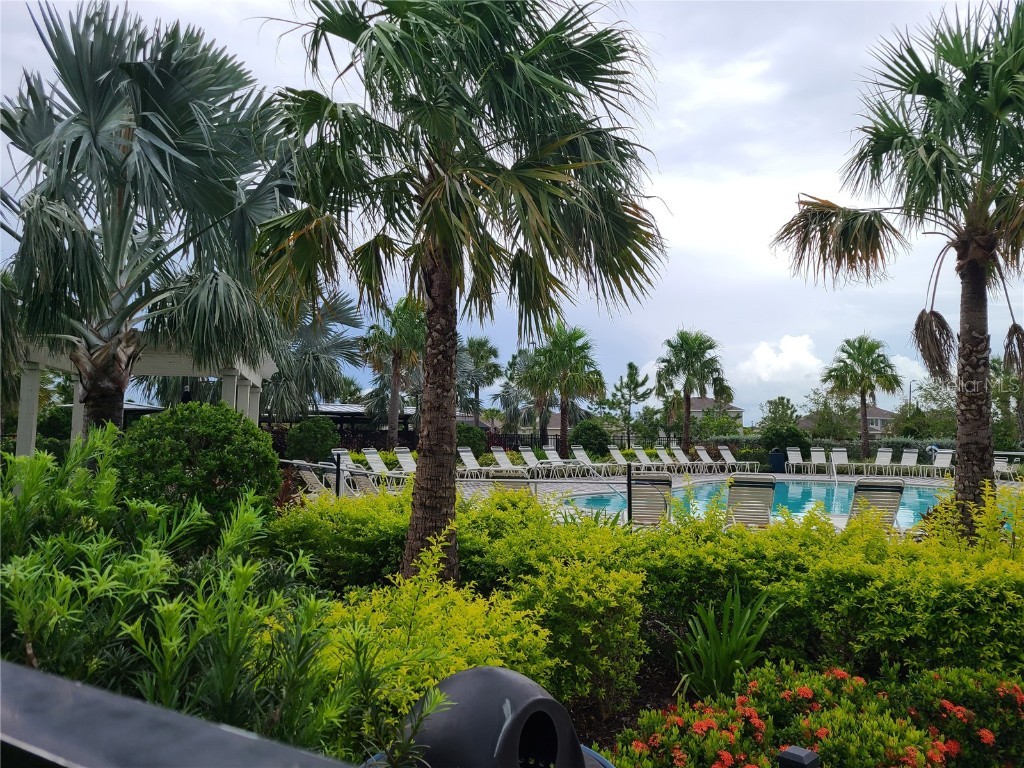 10209 Kalamazoo Place Parrish FL 34219 A4663065 image19