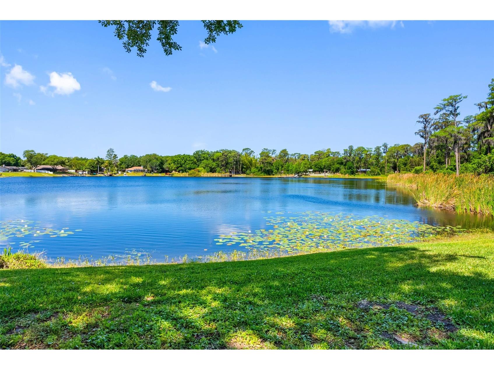 10209 Lake Grove Drive Odessa FL 33556 - LAKE CHAPMAN TB8497352 image1