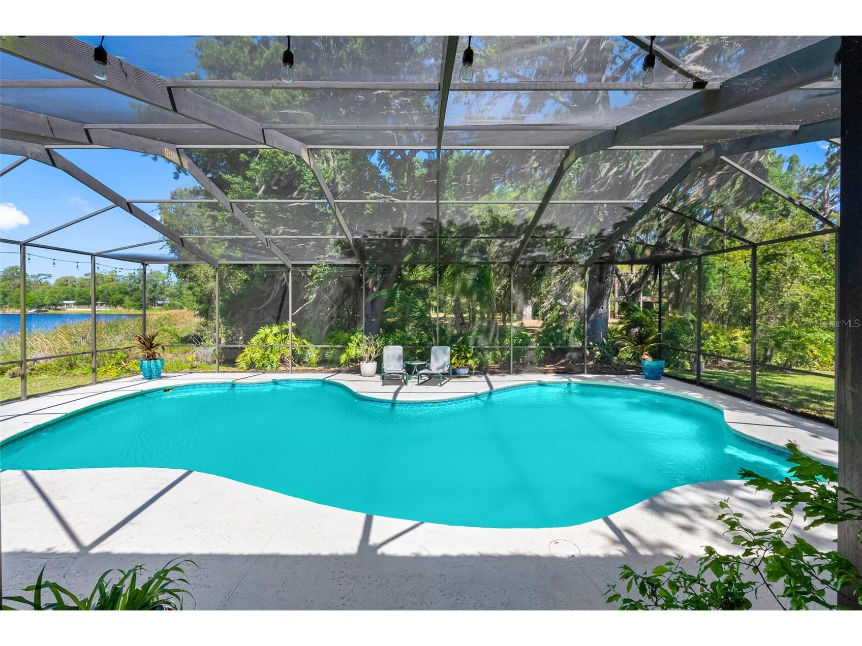 10209 Lake Grove Drive Odessa FL 33556 - LAKE CHAPMAN TB8497352 image45
