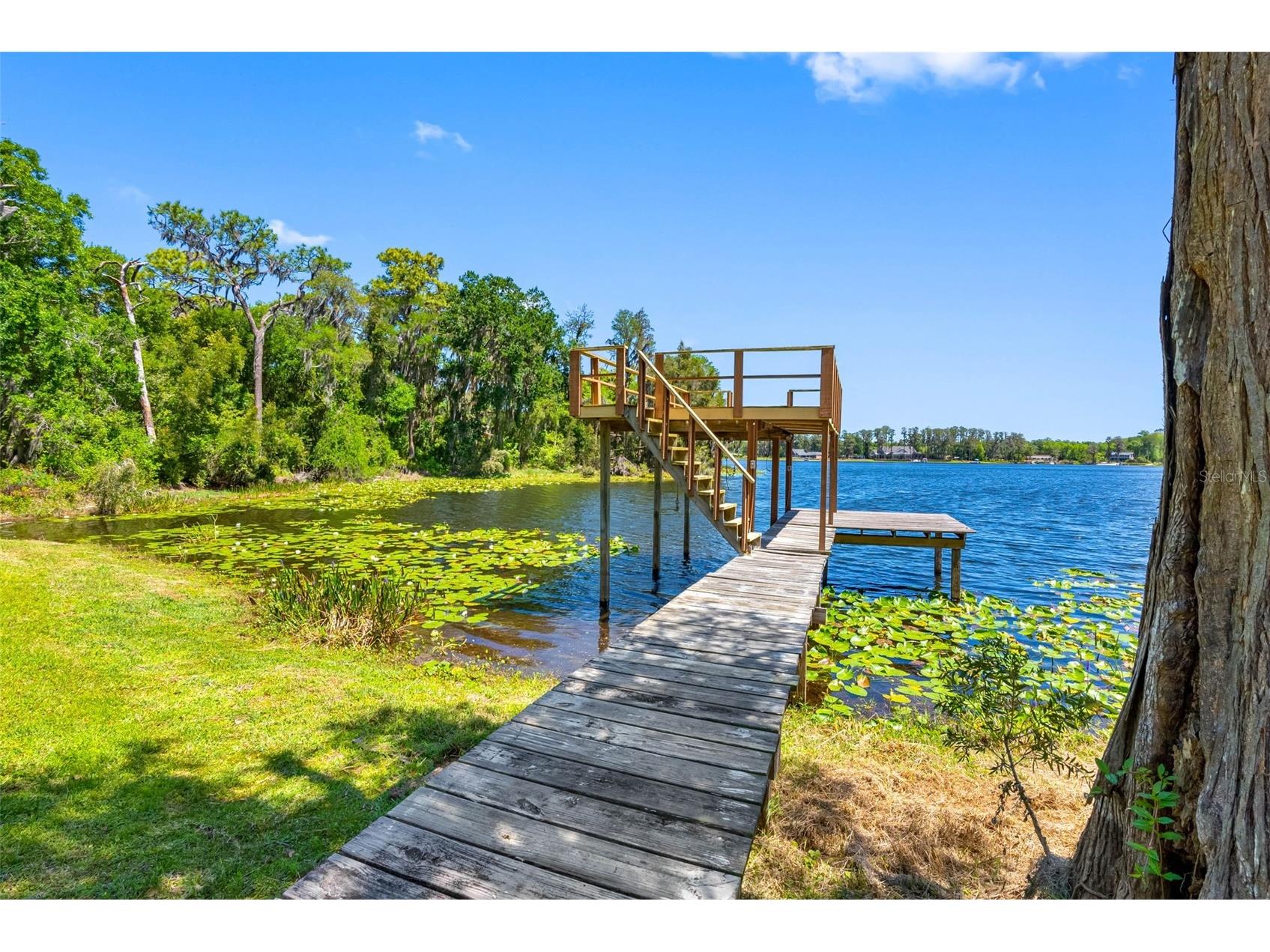 10209 Lake Grove Drive Odessa FL 33556 - LAKE CHAPMAN TB8497352 image54