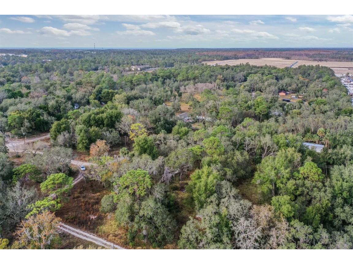 10209 Sybil Lane Hudson FL 34667 TB8454098 image10