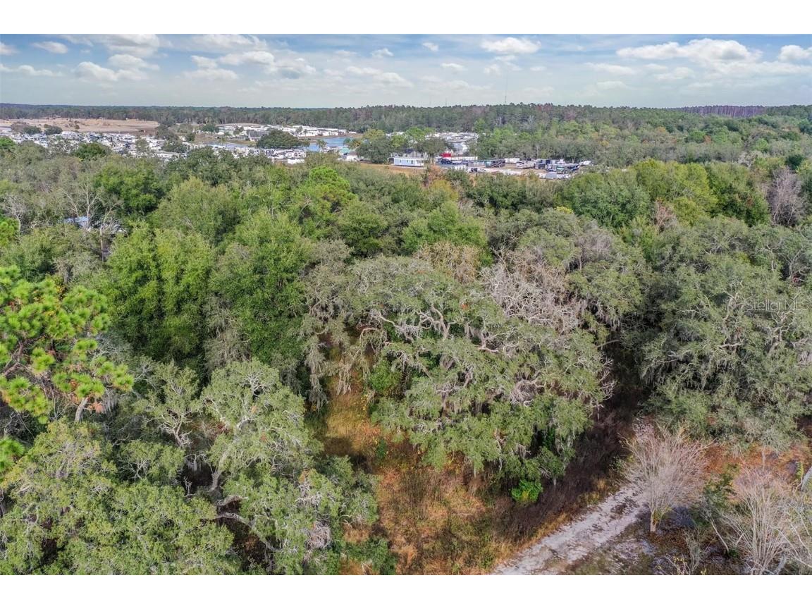 10209 Sybil Lane Hudson FL 34667 TB8454098 image11