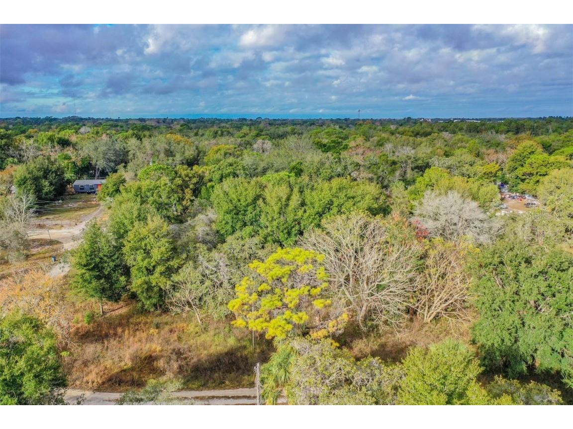 10209 Sybil Lane Hudson FL 34667 TB8454098 image13