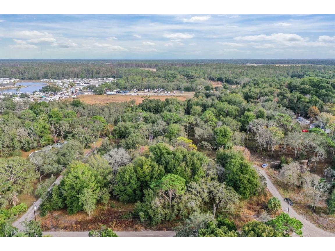 10209 Sybil Lane Hudson FL 34667 TB8454098 image14