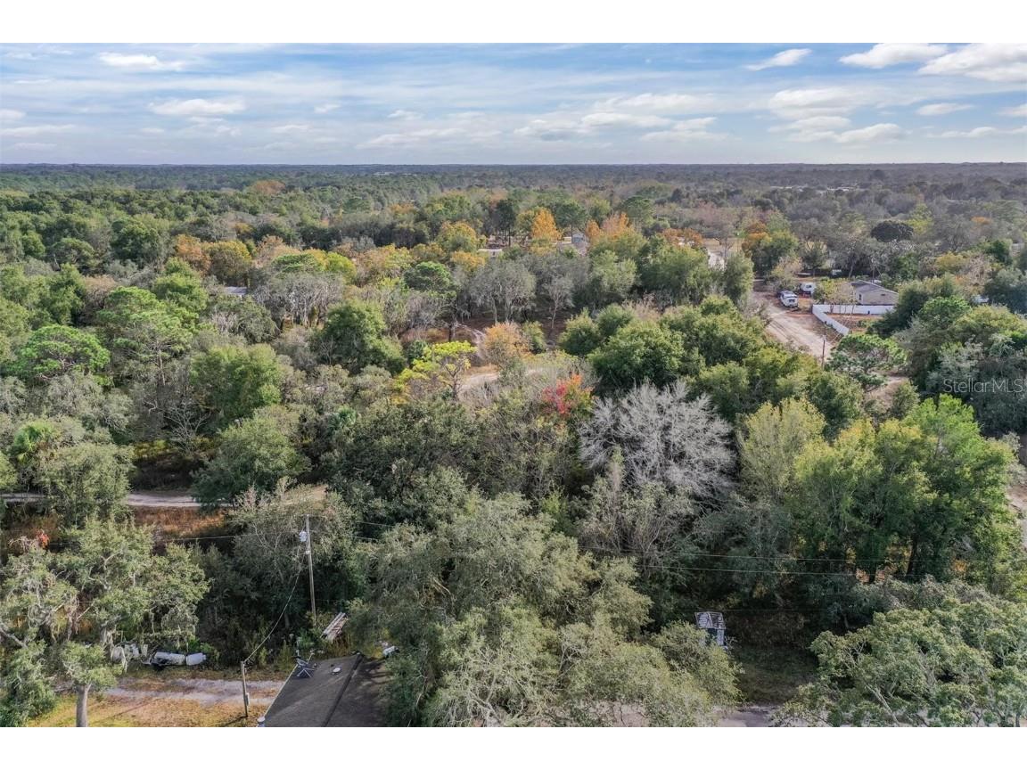 10209 Sybil Lane Hudson FL 34667 TB8454098 image17