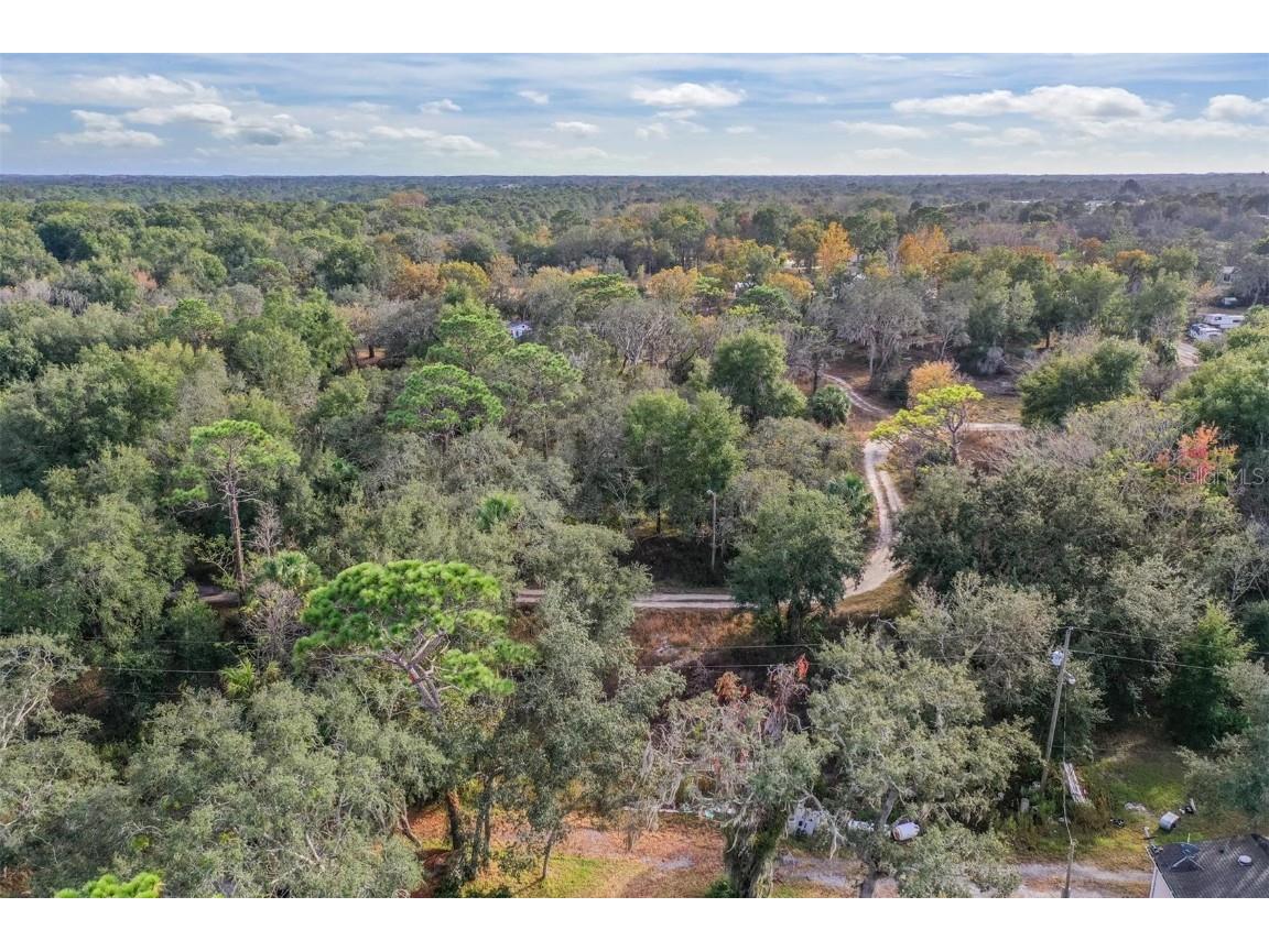 10209 Sybil Lane Hudson FL 34667 TB8454098 image18