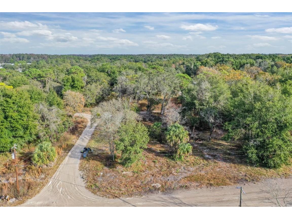 10209 Sybil Lane Hudson FL 34667 TB8454098 image4