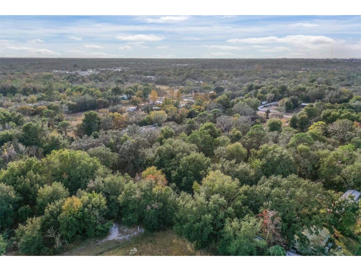 10209 Sybil Lane Hudson FL 34667 TB8454098 image5