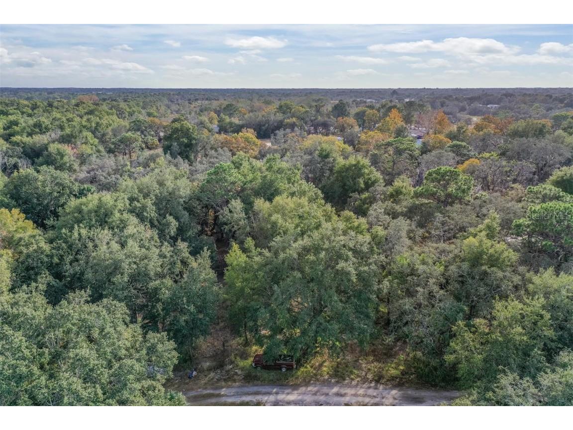 10209 Sybil Lane Hudson FL 34667 TB8454098 image6