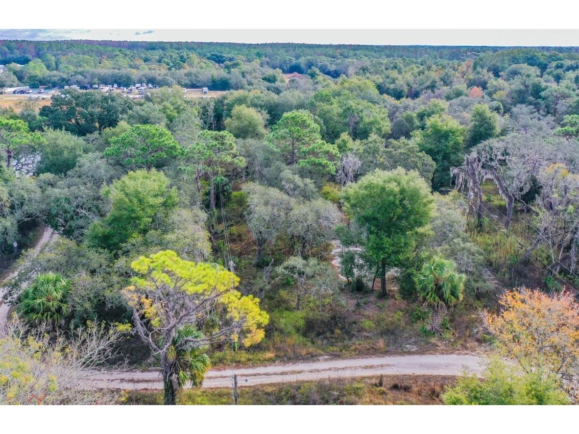 10209 Sybil Lane Hudson FL 34667 TB8454098 image7