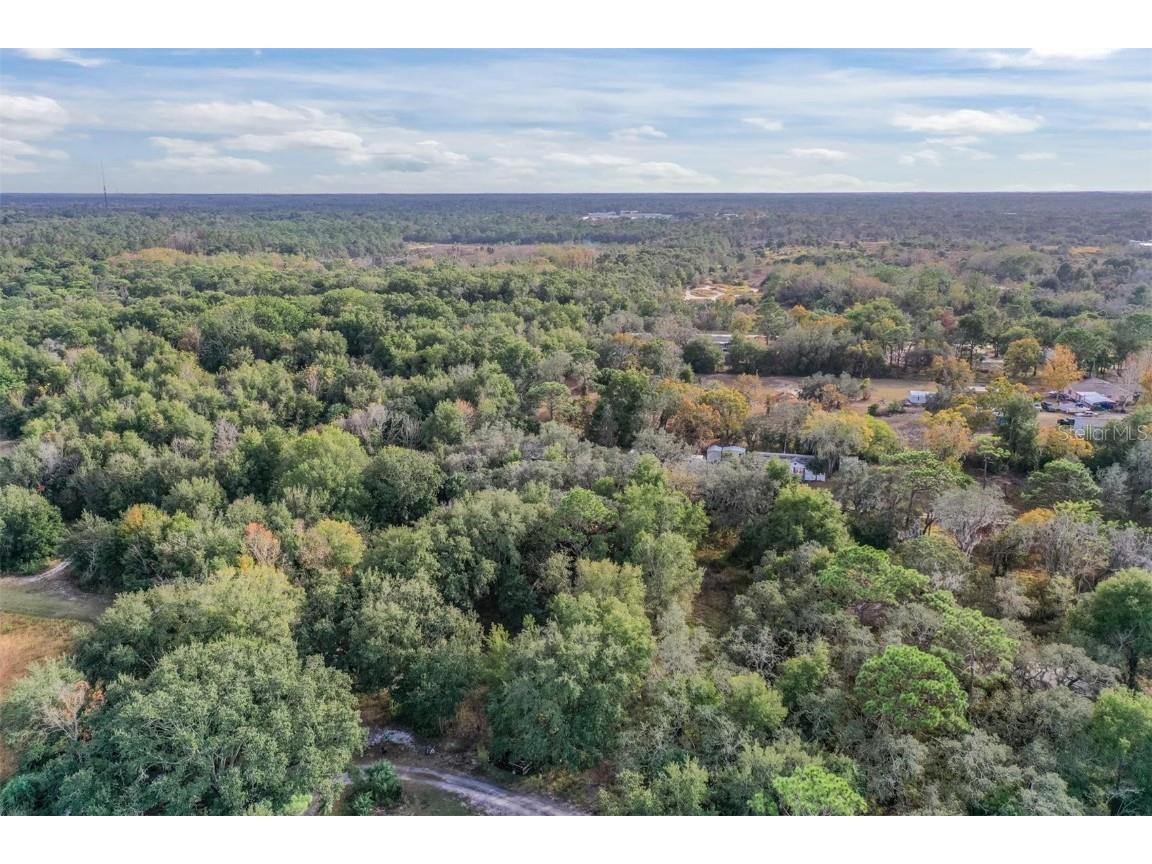 10209 Sybil Lane Hudson FL 34667 TB8454098 image8