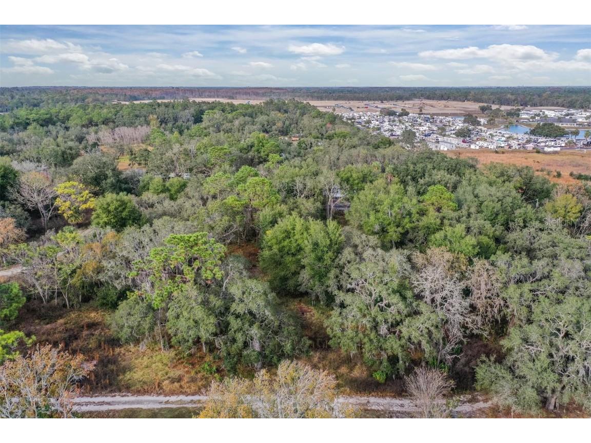 10209 Sybil Lane Hudson FL 34667 TB8454098 image9