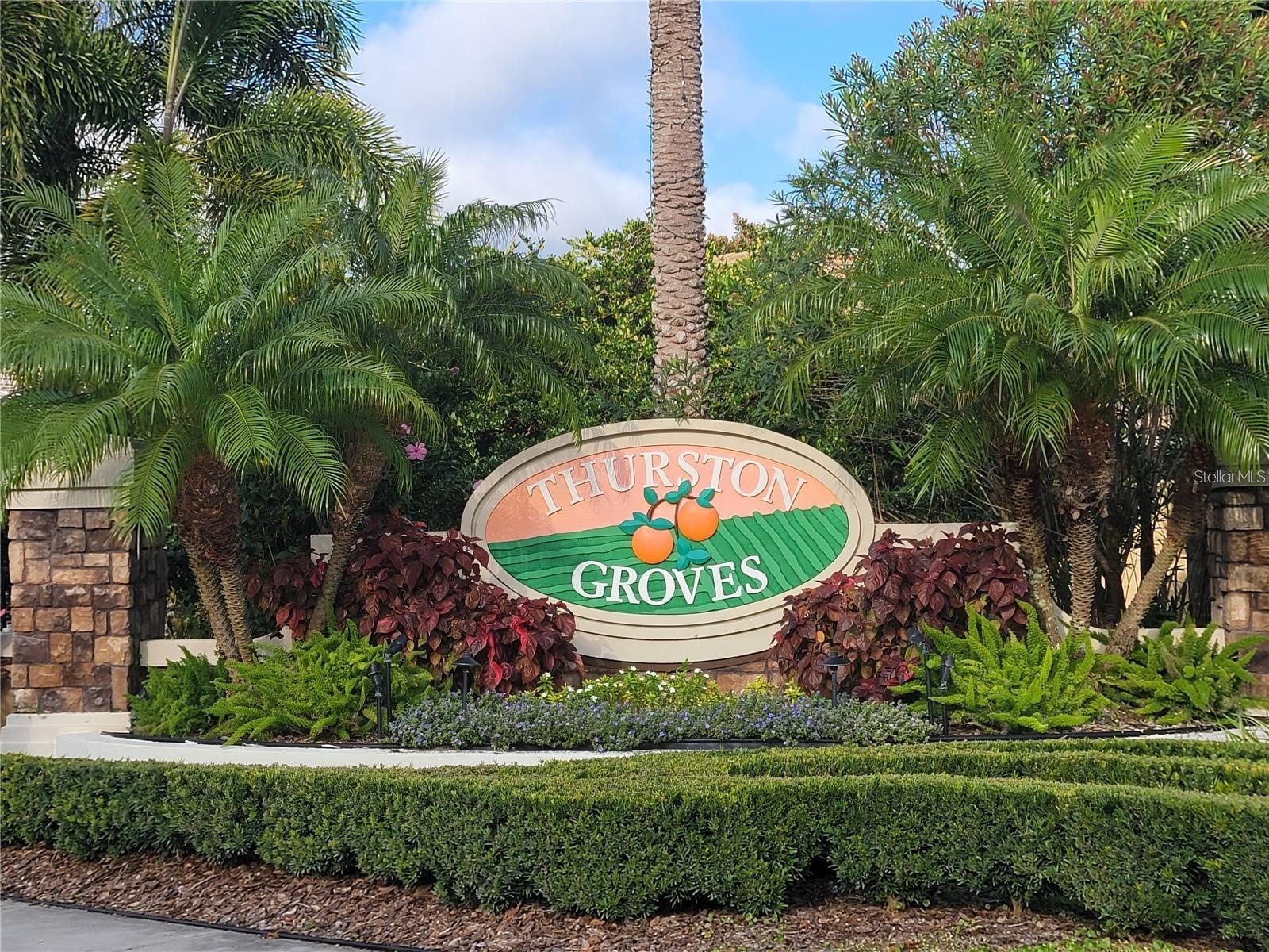10209 Thurston Groves Boulevard Largo FL 33778 TB8473687 image67