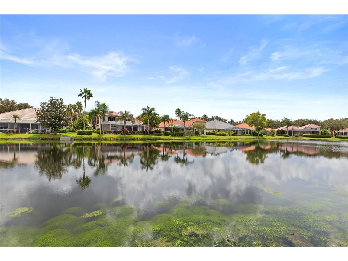 10209 Waterside Oaks Drive Tampa FL 33647 TB8428614 image4