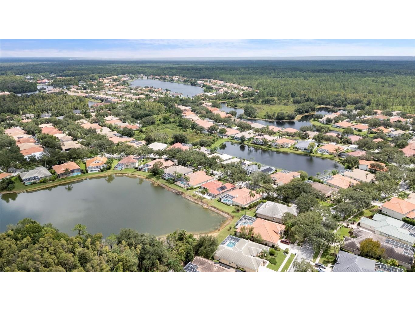 10209 Waterside Oaks Drive Tampa FL 33647 TB8428614 image50