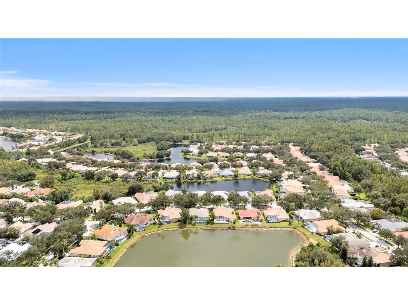 10209 Waterside Oaks Drive Tampa FL 33647 TB8428614 image51