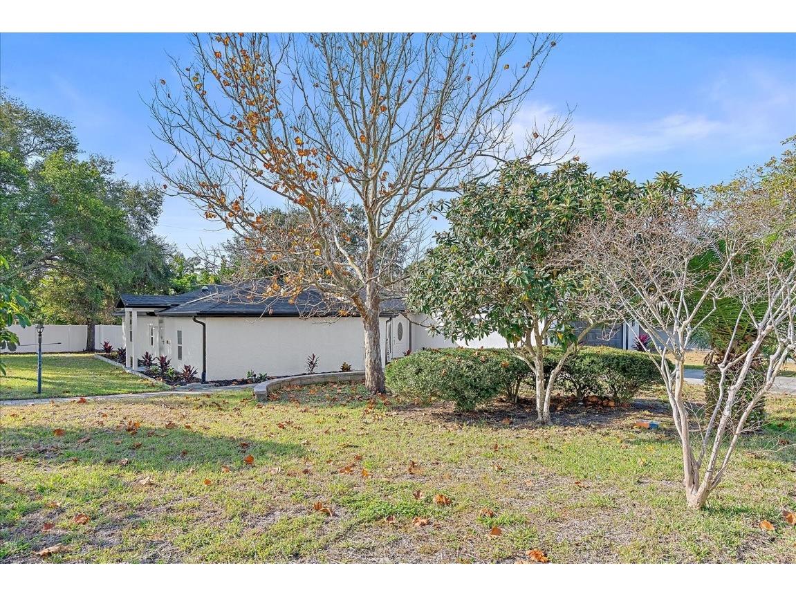 1021 15th Street Palm Harbor FL 34683 A4674627 image28