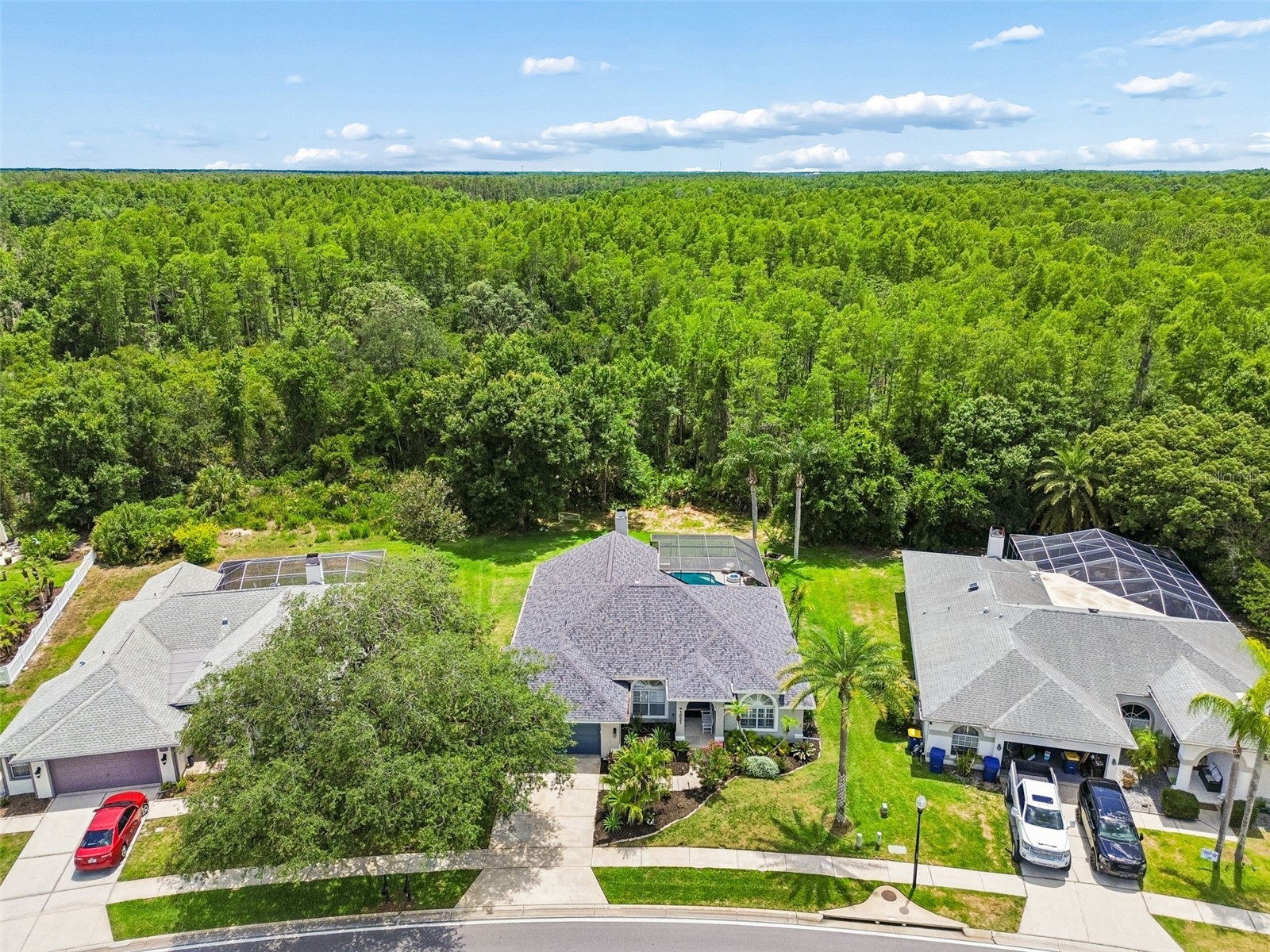 1021 Arlinbrook Drive Trinity FL 34655 TB8510929 image45