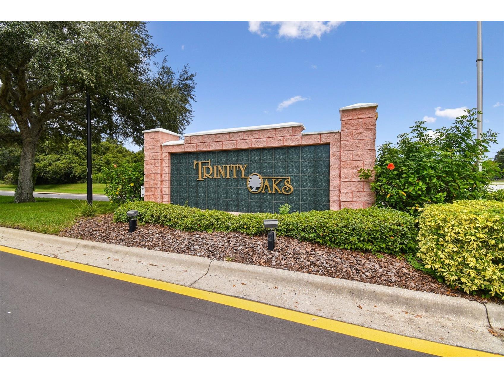 1021 Arlinbrook Drive Trinity FL 34655 TB8510929 image48