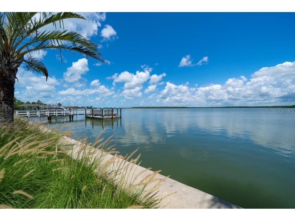 1021 Bay Esplanade Clearwater Beach FL 33767 TB8436074 image13