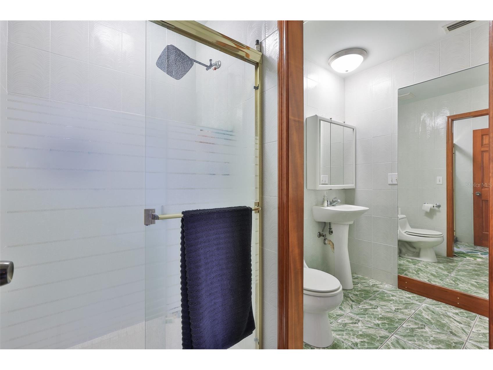 1021 Symphony Isles Boulevard Apollo Beach FL 33572 - TAMPA BAY TB8502558 image41