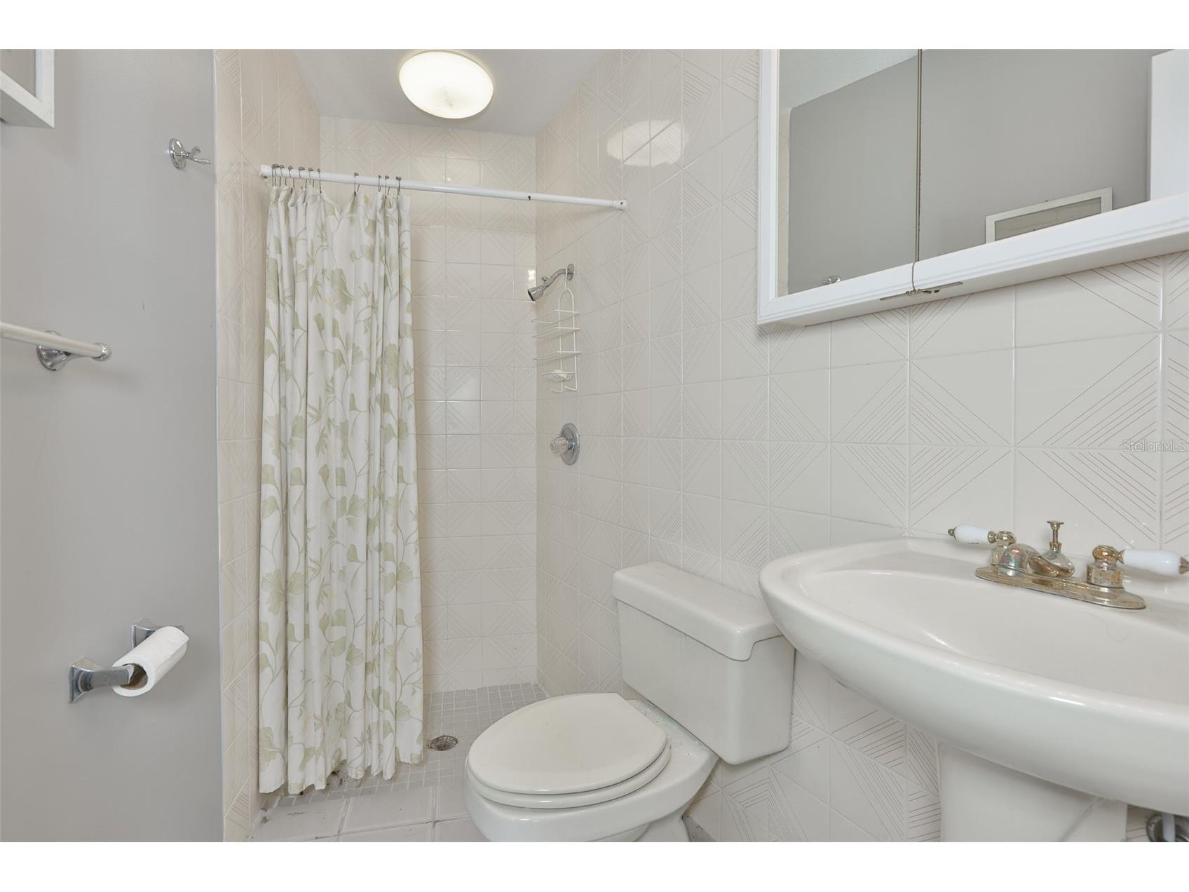 1021 Symphony Isles Boulevard Apollo Beach FL 33572 - TAMPA BAY TB8502558 image49