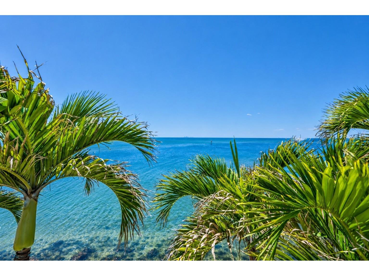 1021 Symphony Isles Boulevard Apollo Beach FL 33572 - TAMPA BAY TB8502558 image60