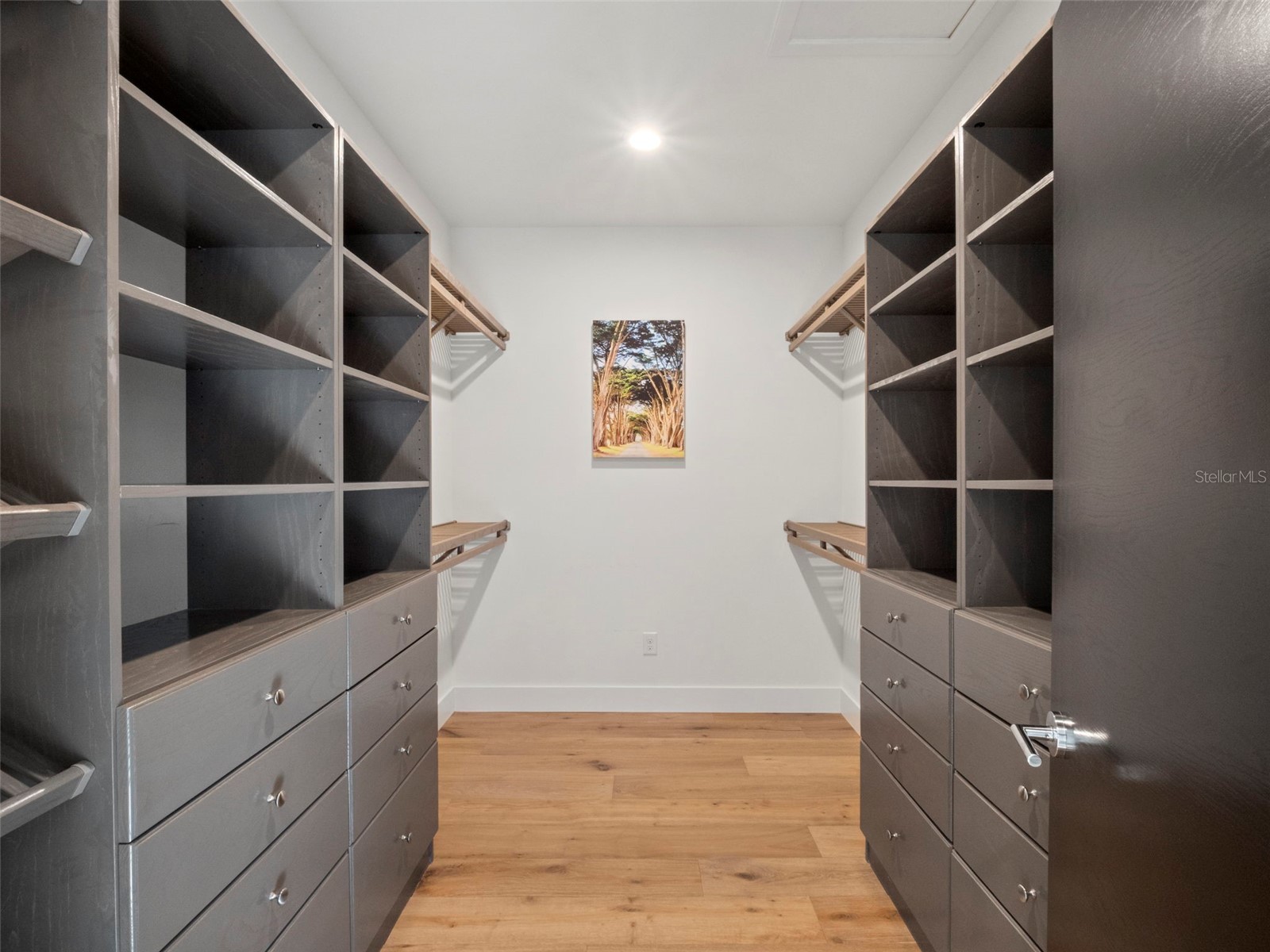 1021 Temple Grove Place Winter Garden FL 34787 - LAKE APOPKA O6387876 image23