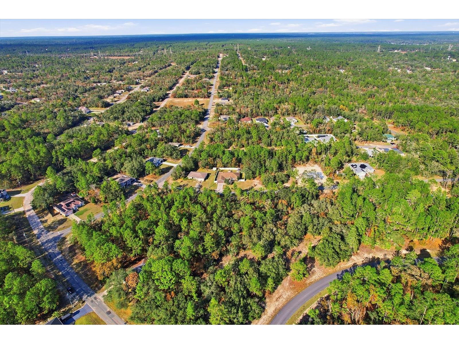 1021 W Champlain Lane Citrus Springs FL 34434 TB8462757 image45