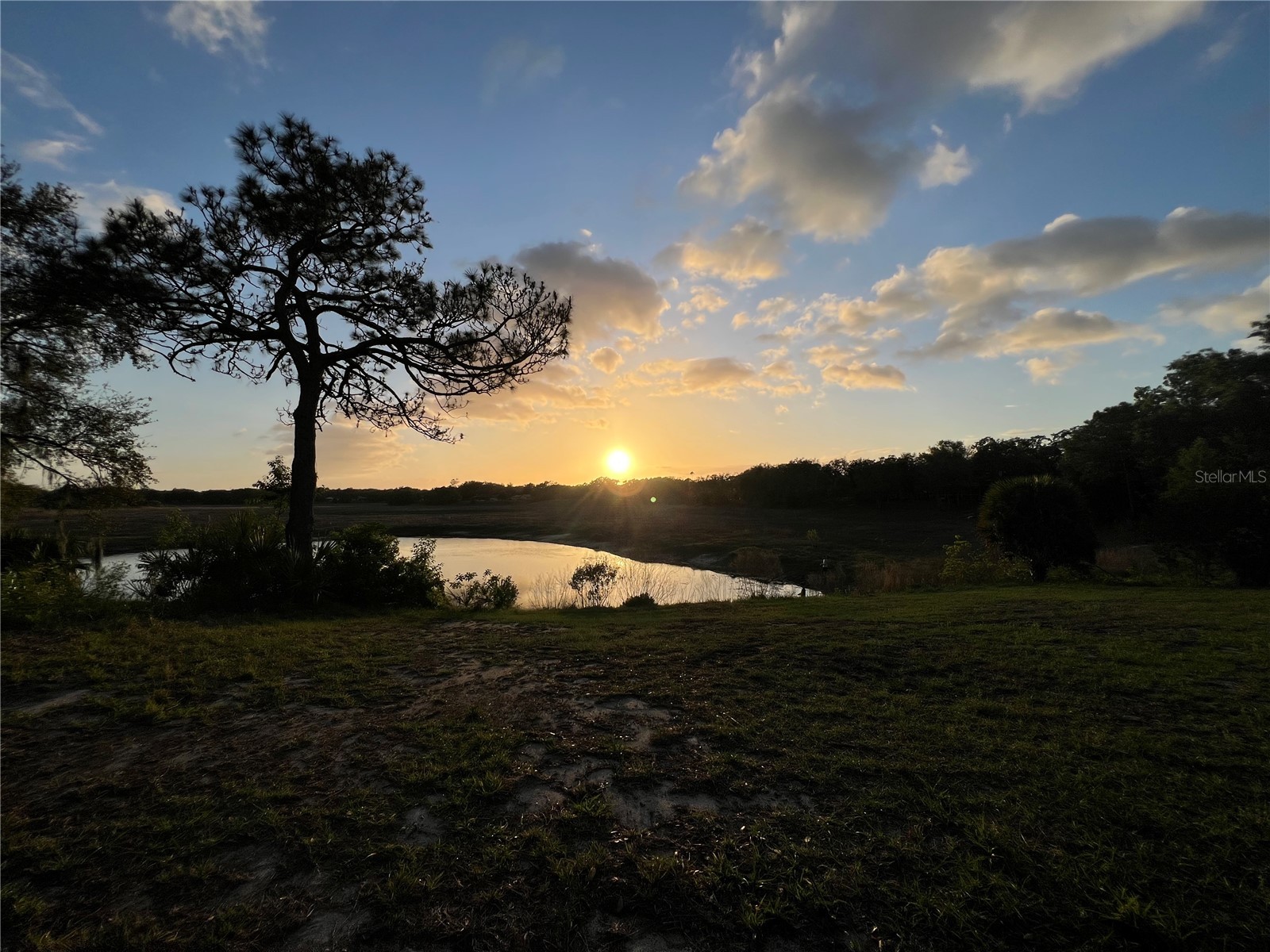 1021 Waterfall Drive Spring Hill FL 34608 W7884131 image44