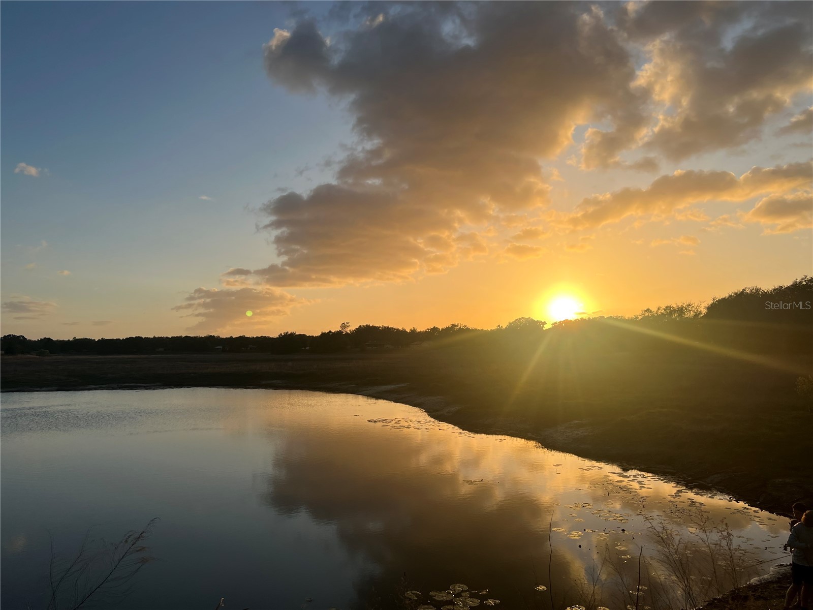 1021 Waterfall Drive Spring Hill FL 34608 W7884131 image45