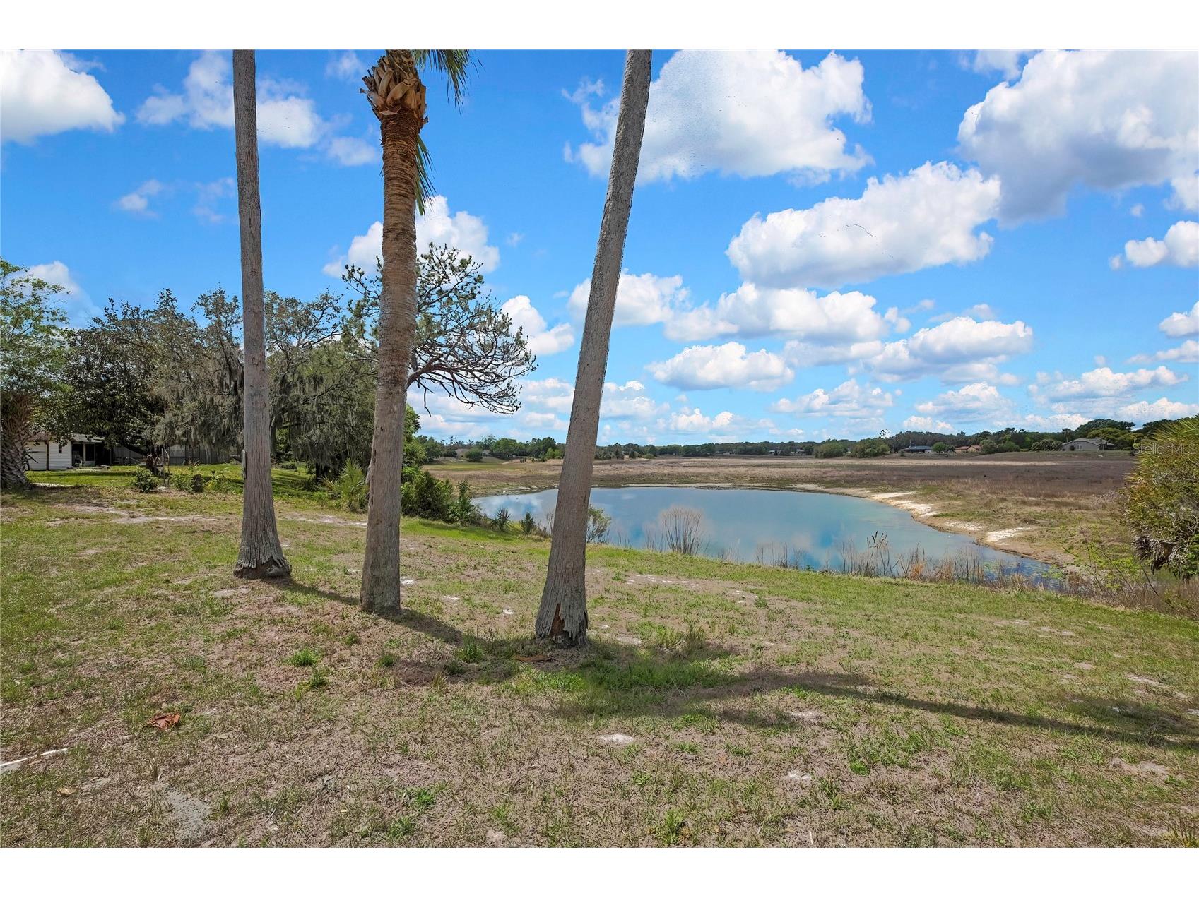 1021 Waterfall Drive Spring Hill FL 34608 W7884131 image5