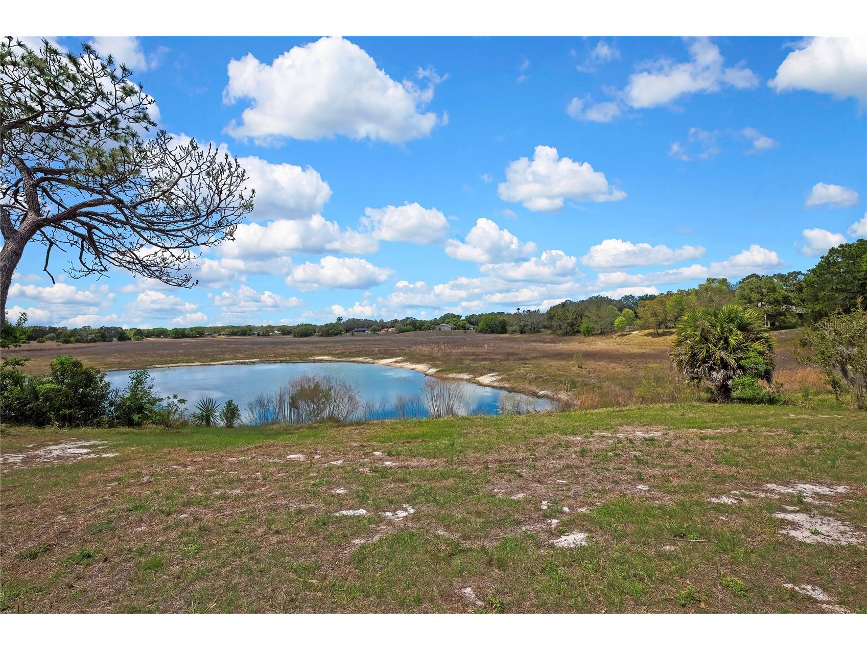 1021 Waterfall Drive Spring Hill FL 34608 W7884131 image6
