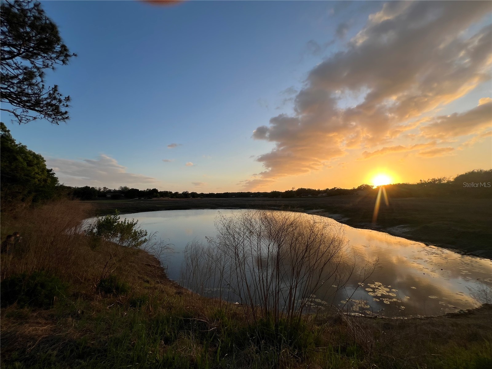 1021 Waterfall Drive Spring Hill FL 34608 W7884131 image8