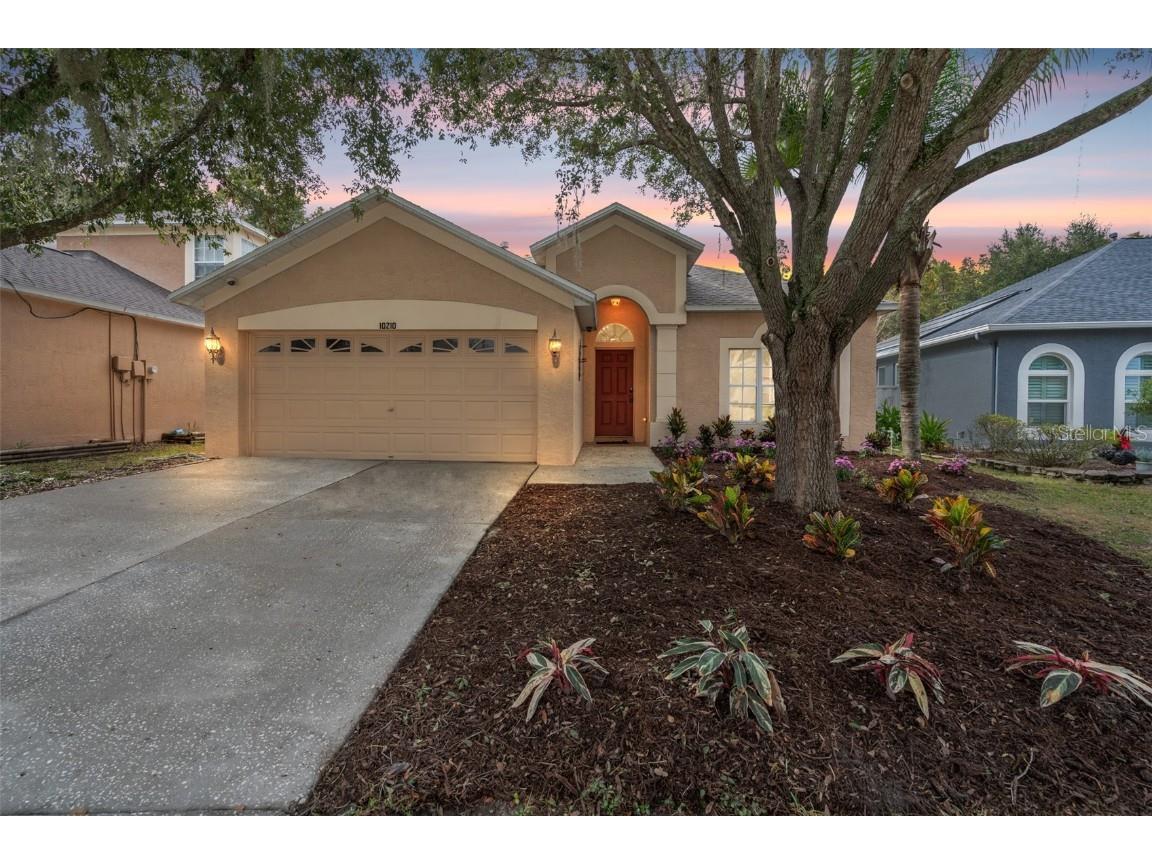 10210 Grant Creek Drive Tampa FL 33647 T3484761 image1