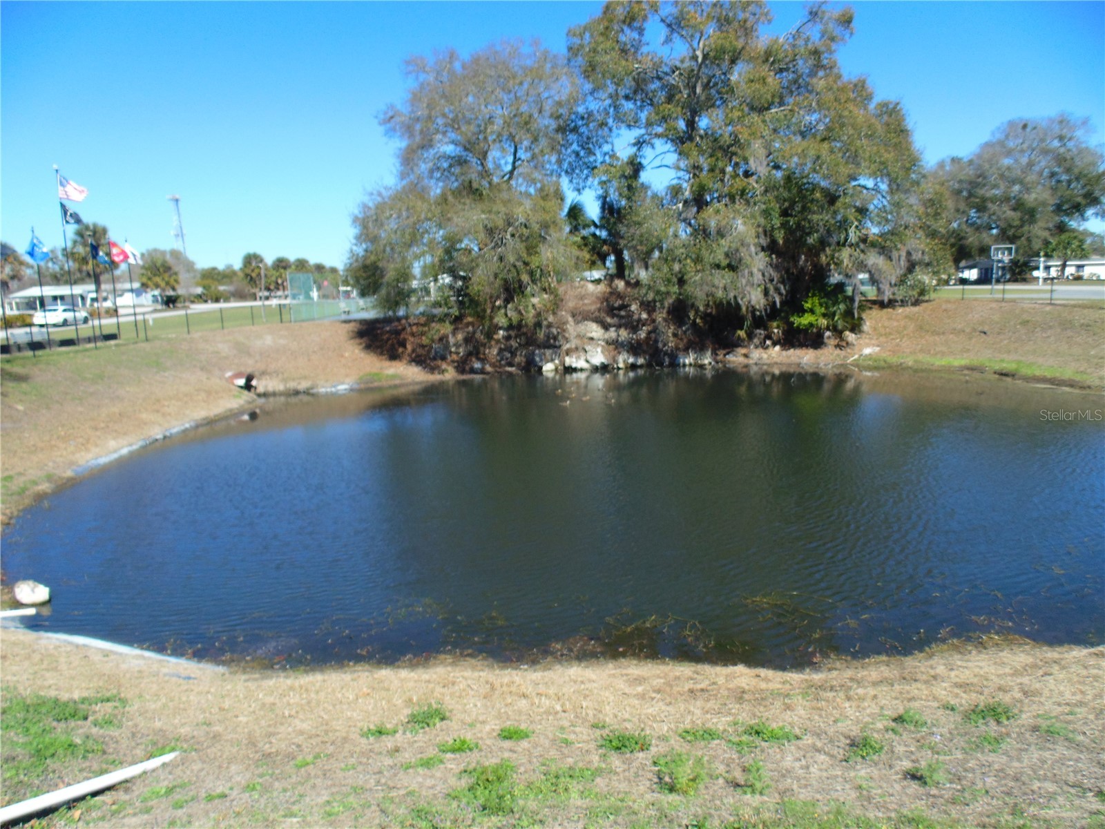 10210 SW 93rd Avenue Ocala FL 34481 OM719330 image39