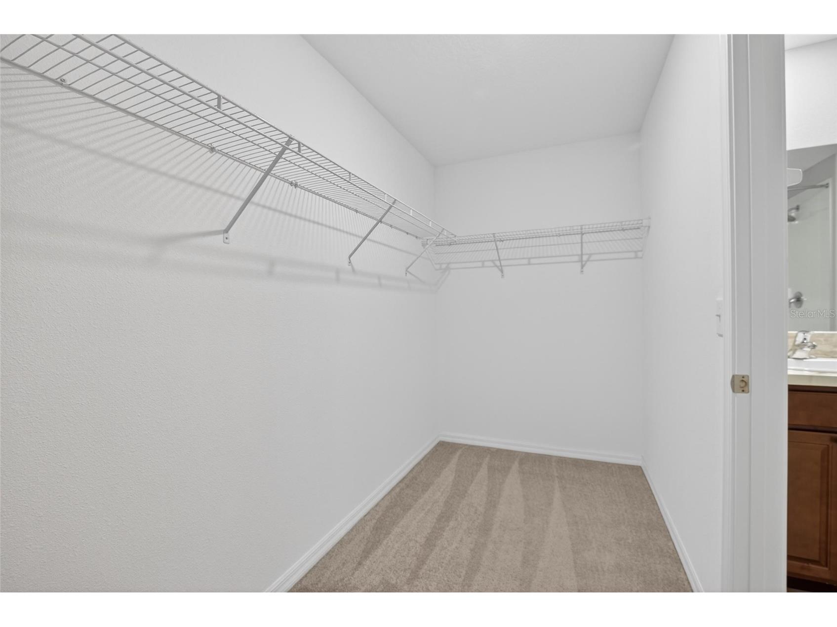 10211 Amazing Grace Avenue Riverview FL 33578 TB8517923 image27