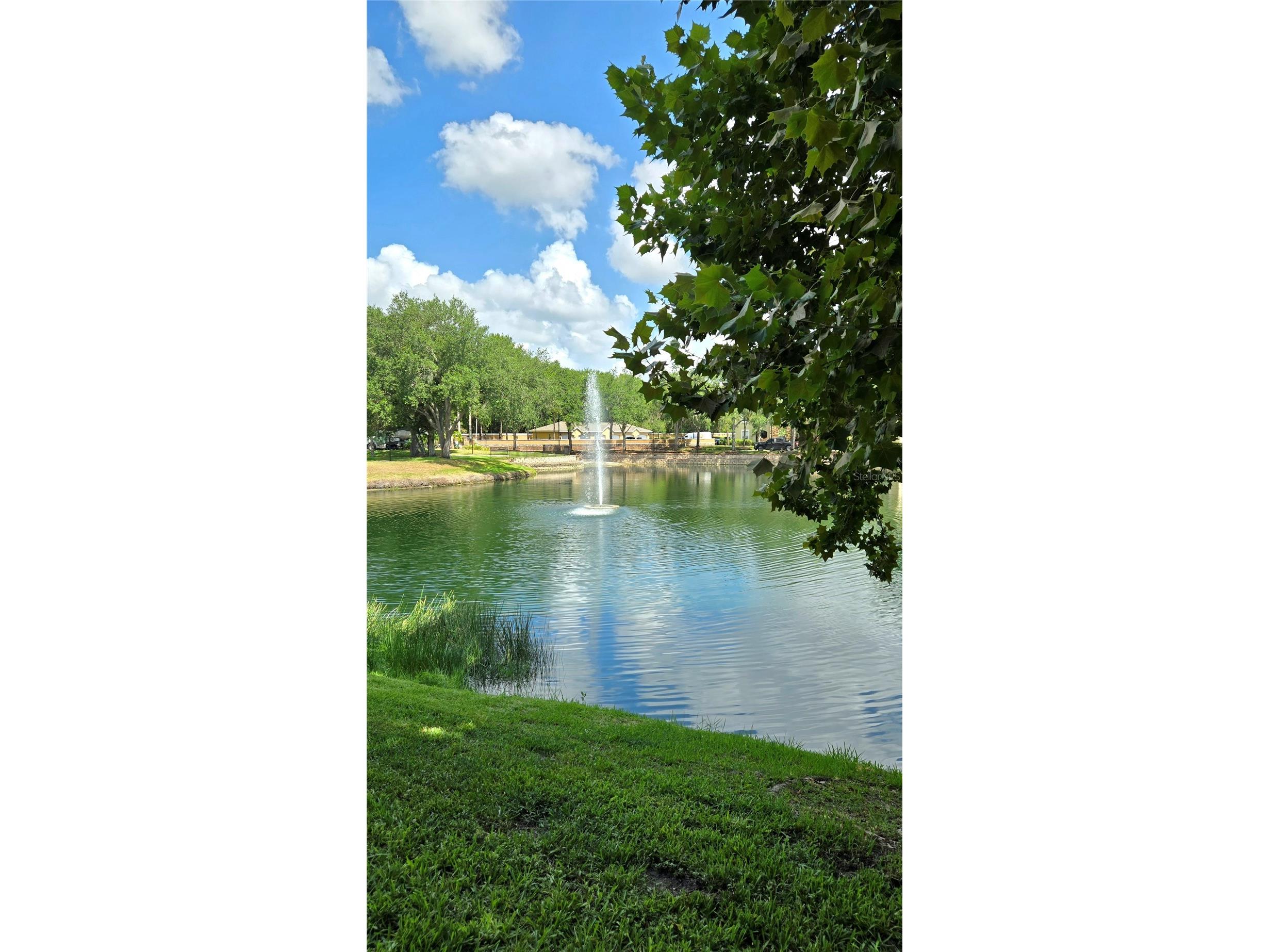 10211 Courtney Palms Boulevard #304 Tampa FL 33619 TB8519176 image11