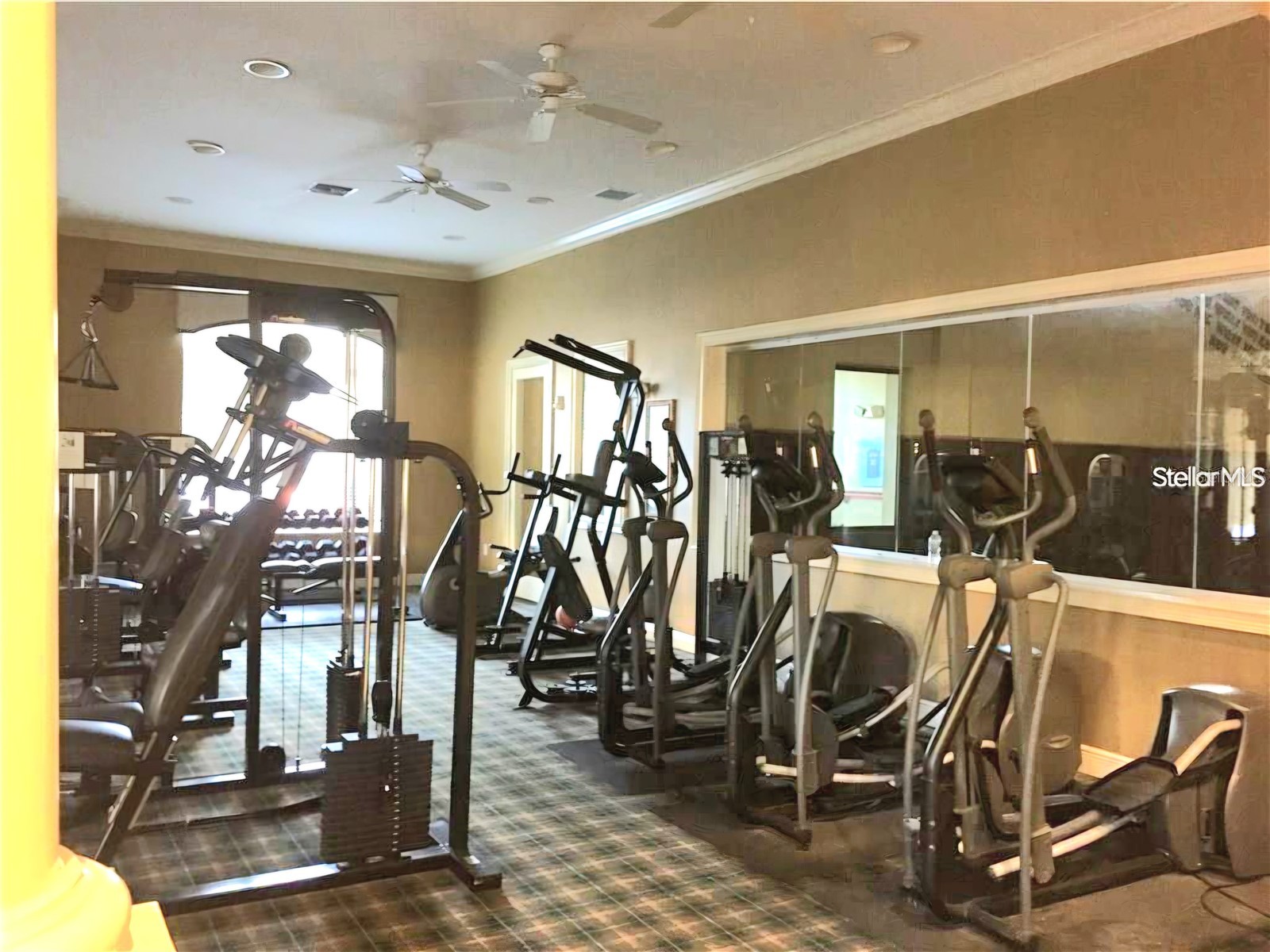 10211 Courtney Palms Boulevard #304 Tampa FL 33619 TB8519176 image18