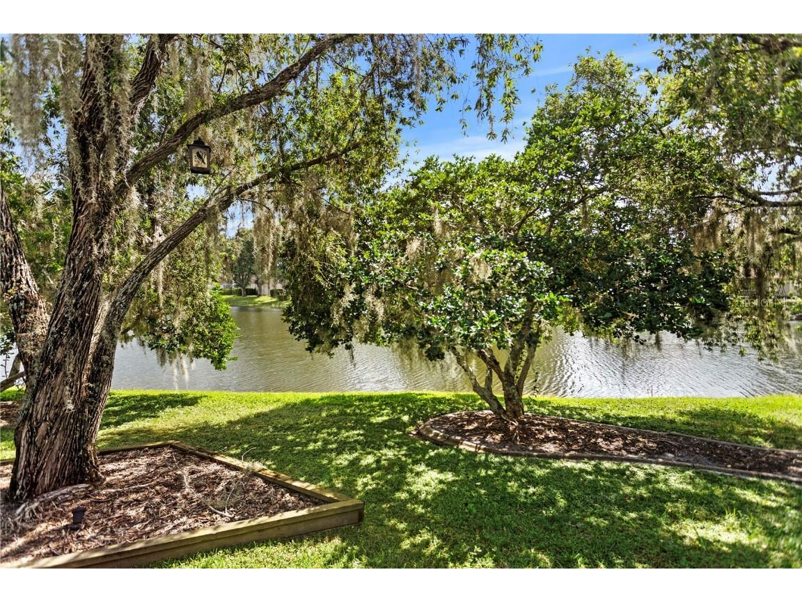 10211 Quails Landing Avenue Tampa FL 33647 TB8433090 image28