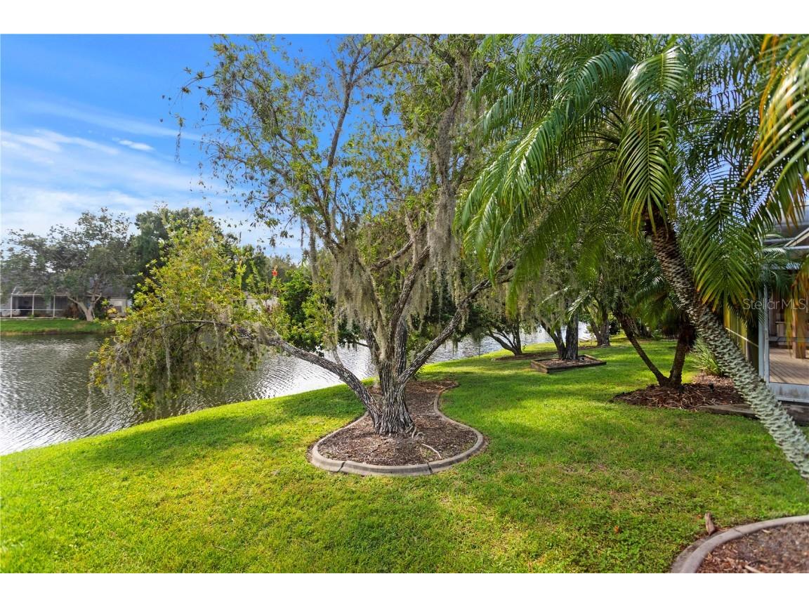 10211 Quails Landing Avenue Tampa FL 33647 TB8433090 image29