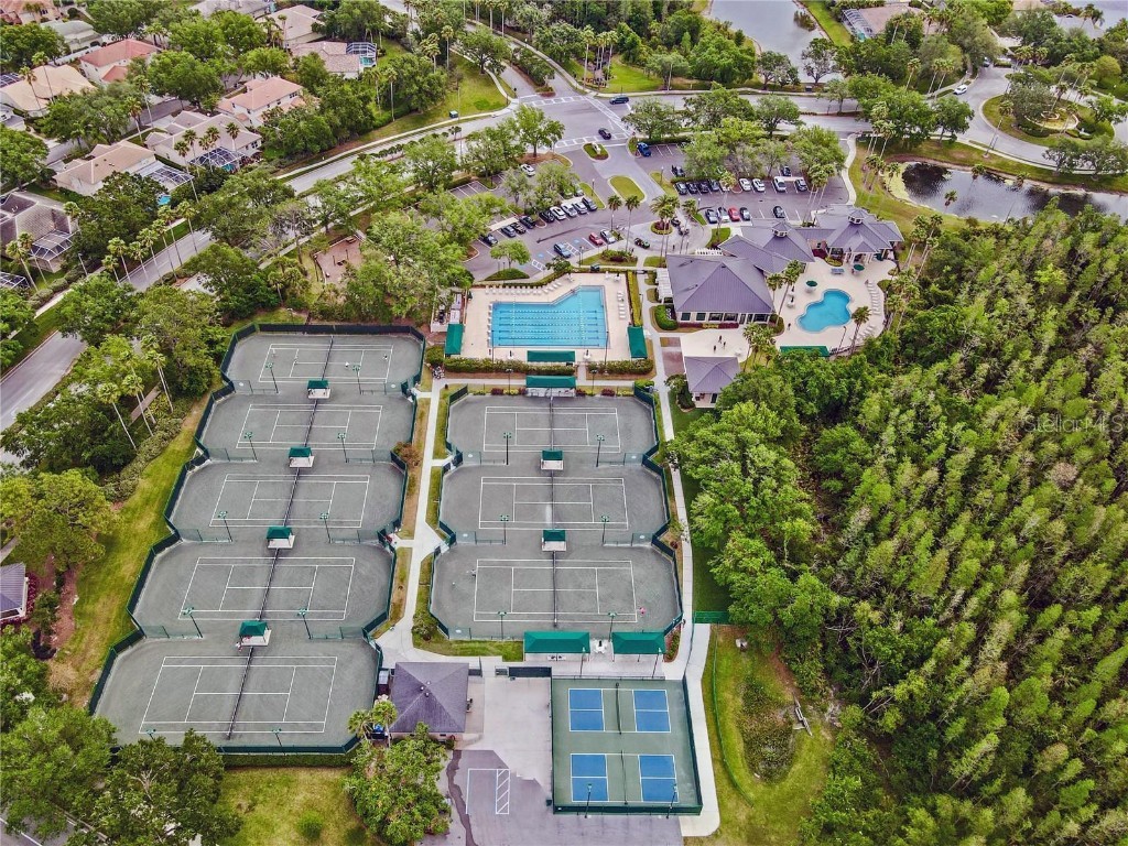 10211 Quails Landing Avenue Tampa FL 33647 TB8433090 image46