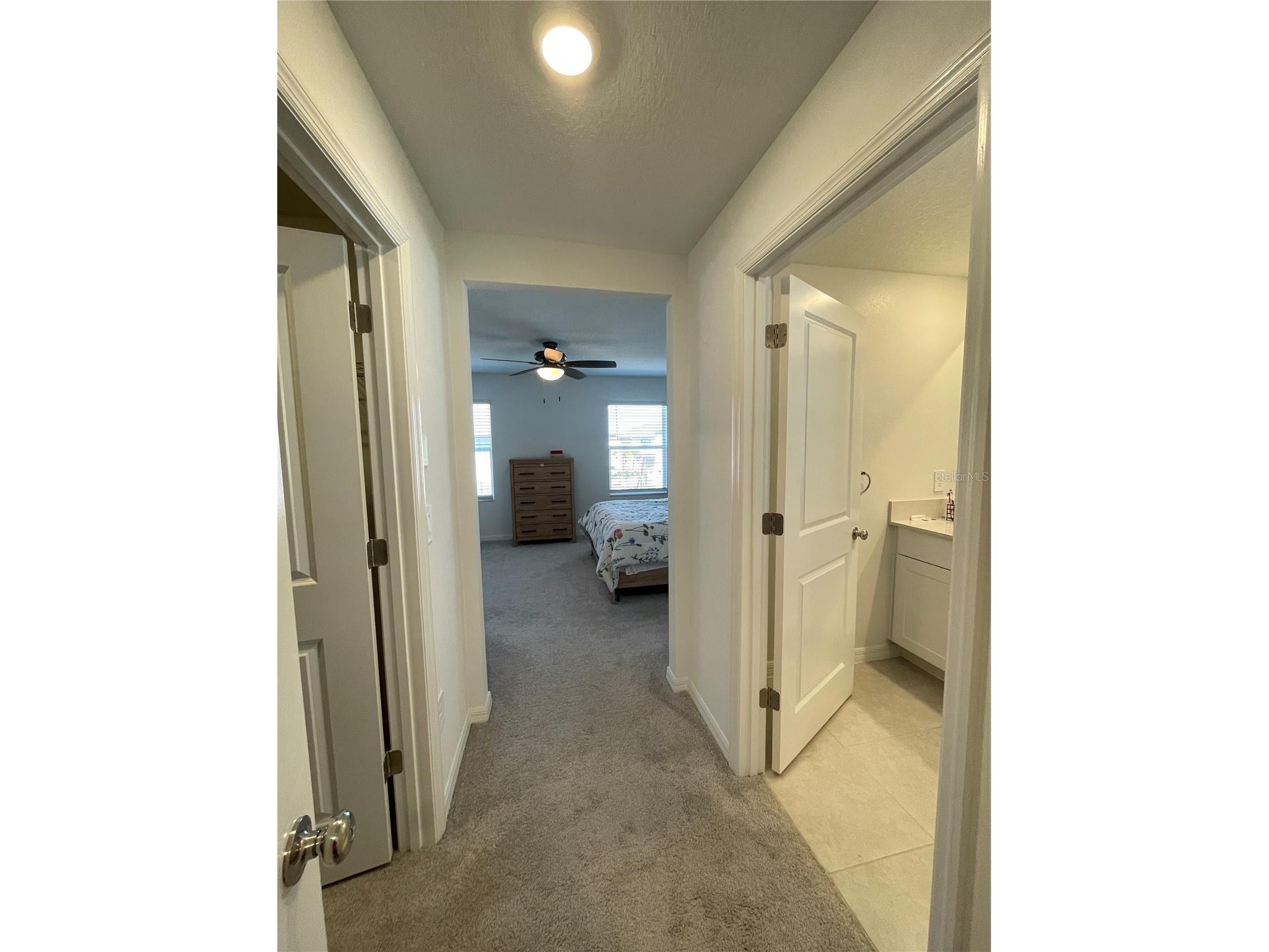 10211 Trumpet Honeysuckle Way San Antonio FL 33576 TB8476455 image10