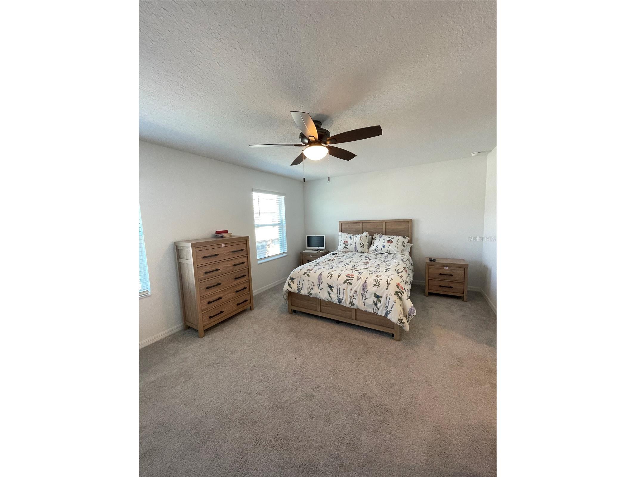 10211 Trumpet Honeysuckle Way San Antonio FL 33576 TB8476455 image11