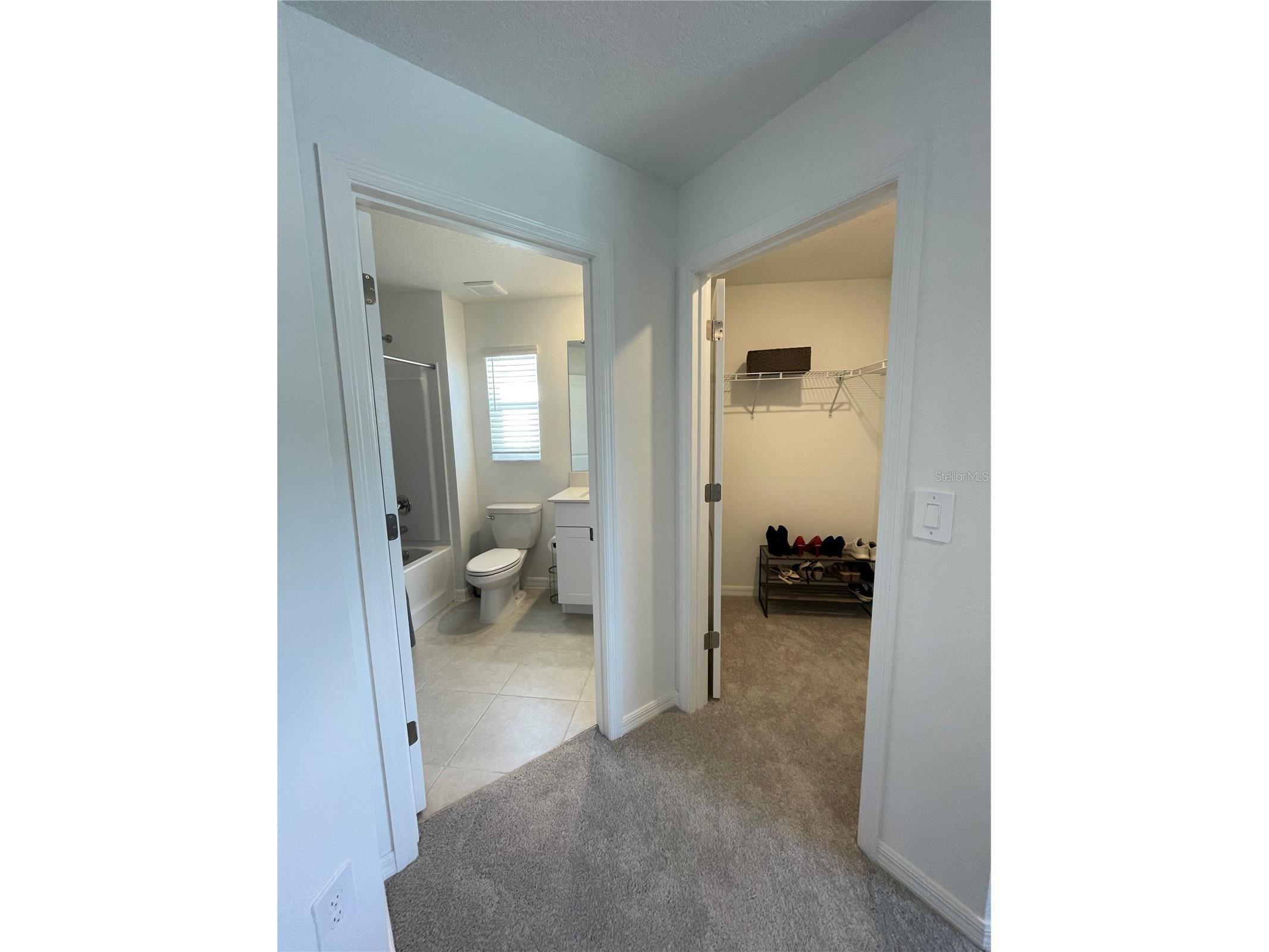 10211 Trumpet Honeysuckle Way San Antonio FL 33576 TB8476455 image32