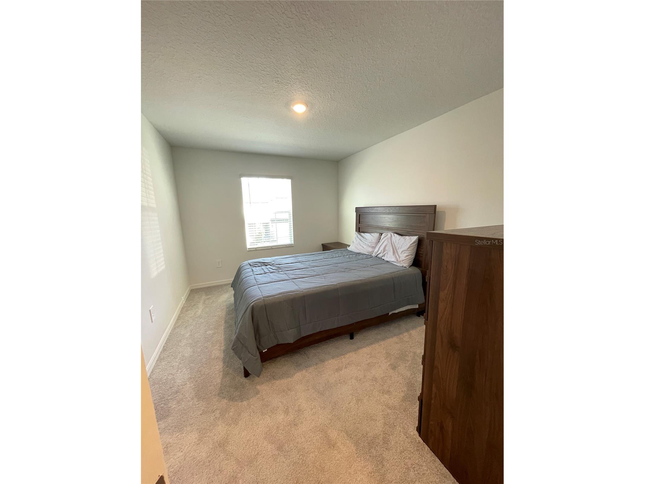 10211 Trumpet Honeysuckle Way San Antonio FL 33576 TB8476455 image33