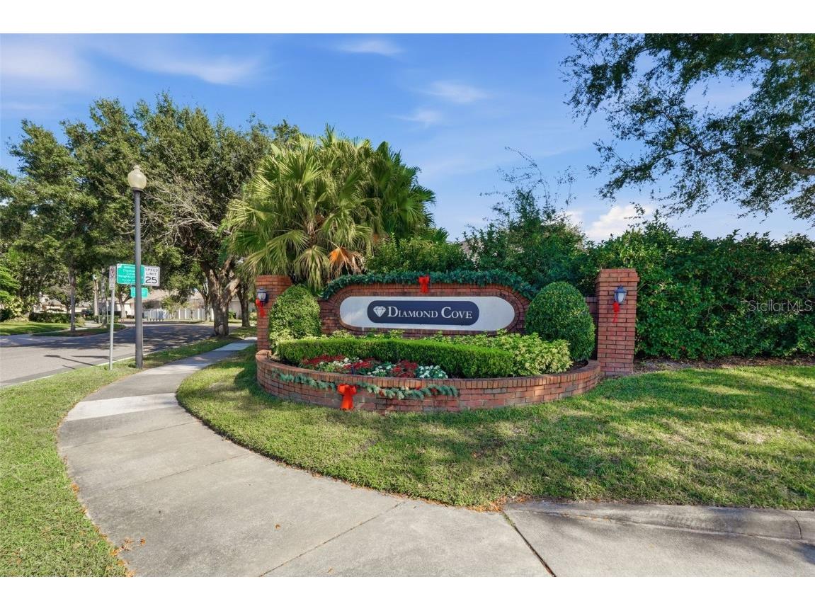 10212 Facet Court Orlando FL 32836 O6365221 image45